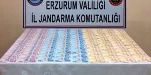 Erzurum'da Jandarmadan Sahte Para ve Kaçak Göçmen Operasyonu