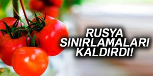 Rusya, Türk domatesine uygulanan sınırlamaları kaldırdı