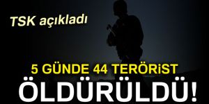 Zap'ta 5 günde 44 terörist öldürüldü!