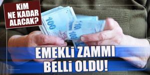 Emekliye 2018'de 318 TL artış olacak