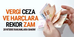 Vergi ceza ve harçlara rekor zam geliyor! İşte 2018 rakamları