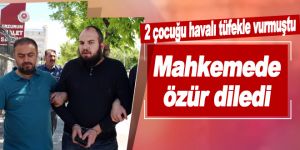 2 çocuğu havalı tüfekle vuran şahıs, mahkemede özür diledi