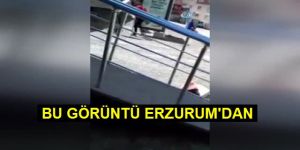 İzleyenlerin kanı donuyor