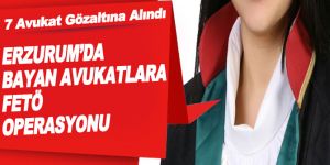 Erzurum'da 7 Avukat Fetö'den Gözaltına Alındı