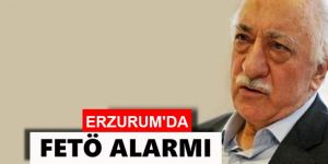 Fetö Halıları Polisi Alarma Geçirdi