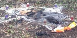 Satanist cinayet sanılmıştı, gerçek ortaya çıktı