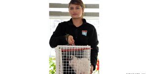 Yaralı kedi için kapı kapı dolaştı