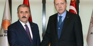 Cumhurbaşkanı ile görüşen Destici'den 'baraj' ve 'ittifak' önerisi