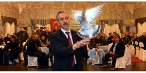 Erzurum Taklacı Güvercinler Yarıştırıldı