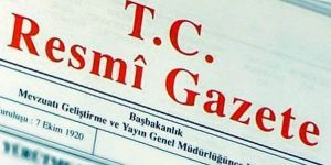 124 maddelik torba kanun, Resmi Gazetede