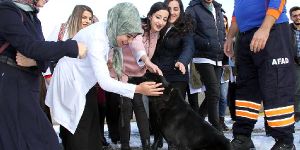 Özel Eğitimli 'Arya'ya Üniversite Öğrencilerinden Yoğun İlgi