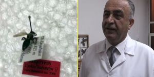 Öğretim Üyesi, Keşfettiği Böceğe Babasının Adını Verdi