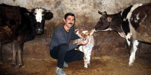 Horasan'da Çektiği 5 Kısa Filmle 17 Ödül Aldı