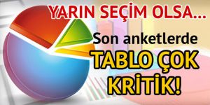 Son seçim anketlerine göre hangi parti ne kadar oy alacak?