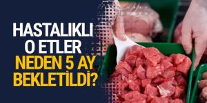 Bosna'dan gelen 20 ton hastalıklı et için flaş açıklama