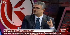 Prof. Dr. Aydın: “Bu operasyon sadece Afrin ve Münbiç ile kalmayacak”