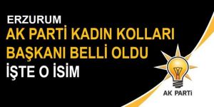 AK Parti Kadın Kolları Başkanlığı'na Çelik atandı