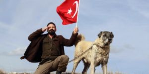 Kangal köpekleri Zeytin Dalı Harekatı için Afrin'e gidiyor