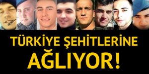 Türkiye şehitlerine ağlıyor! Acı haber ailelerine ulaştı