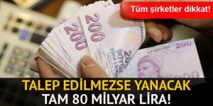 Birikmiş iadeler 2019’da ödenecek