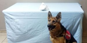 Erzurum'da Hoparlöre Saklanmış Uyuşturucu Ele Geçirildi