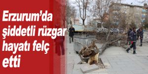 Erzurum’da şiddetli rüzgar hayatı adeta felç etti