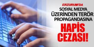 Terör Propagandası Yapan Mali Müşavire 2 Yıl 1 Ay Hapis