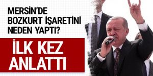 Erdoğan bozkurt işareti yapmasıyla ilgili ilk kez konuştu
