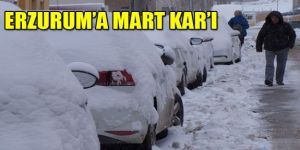 Mart Karı Erzurum'u Esir Aldı