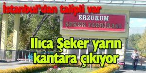 Ilıca Şeker yarın kantara çıkıyor
