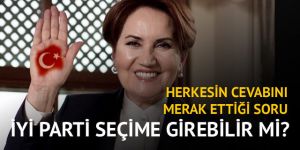 İYİ Parti erken seçime girebilir mi?