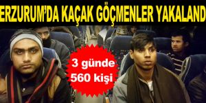Erzurum'da 3 günde 560 kaçak göçmen yakalandı