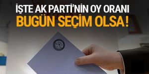Bugün seçim olsa AK Parti'nin oy oranını ünlü anketçi açıkladı