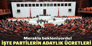 Milletvekilliği aday adaylığı ücretleri belli oldu