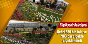 Şehre 650 bin lale, 900 bin çiçek dikti