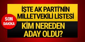 AK Parti milletvekili adayları