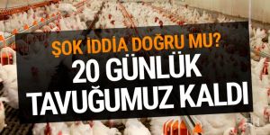 Şok iddia! 20 günlük tavuk kaldı fiyat 2 kat artabilir!