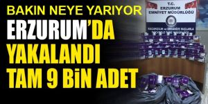 9 bin adet kaçak cinsel içerikli hap ele geçirildi