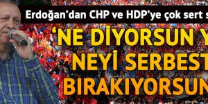Cumhurbaşkanı Erdoğan'dan CHP ve HDP'ye çok sert sözler...