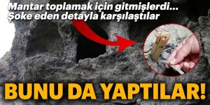 Erzurum'da Defineciler Antik Kaya Mezarları Patlayıcılarla Tahrip Etti