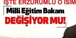 Müsteşar Tekin Bakan mı oluyor?