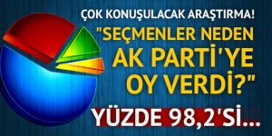 Seçmenler neden AK Parti'ye oy verdi?