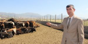 Erzurumlu üreticiler Kurban Bayramı'na hazır