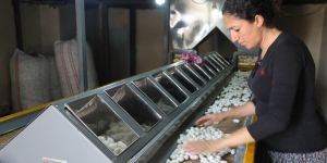 Diyarbakır'da terör bitti, ipek böcekçiliği üretimi şahlandı