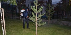 Palandöken Belediyesi Park İlaçlama Çalışmalarına Başladı