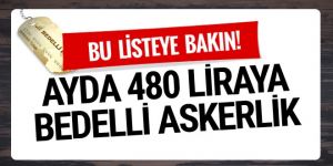 Bedelli kredisi veren bankalar, şartları ve faiz oranları!