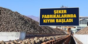 Şeker fabrikalarında kıyım başladı