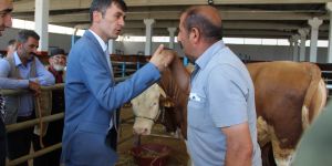 Erzurum hayvan pazarında hareketlilik artıyor