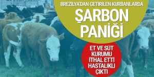 Brezilya'dan getirilen danalar hastalıklı çıktı