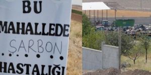 Ankara'daki şarbon vakasından sonra inceleme başlatıldı